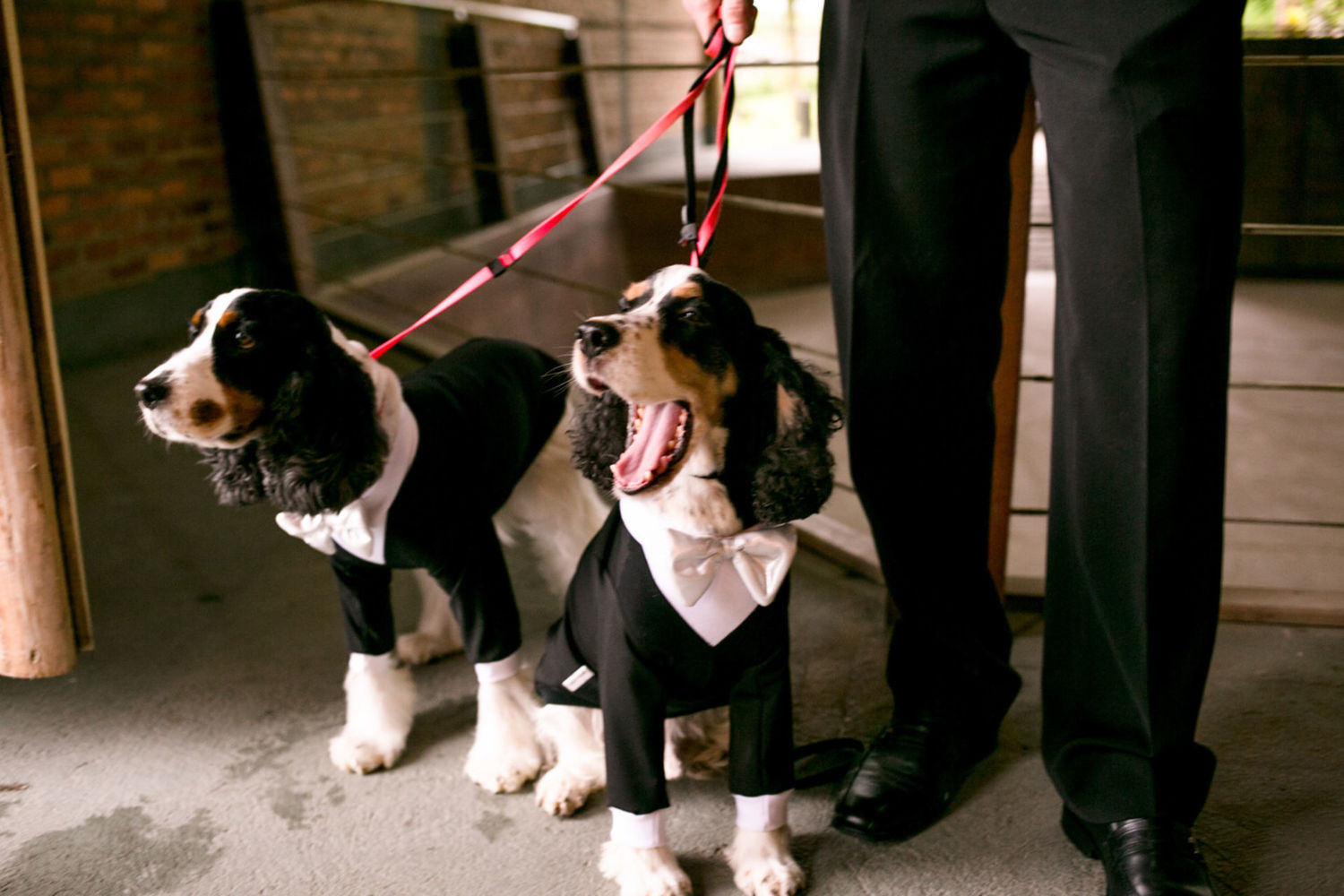 Foto Deisy e Felipe | Casamento  - Imagem 67