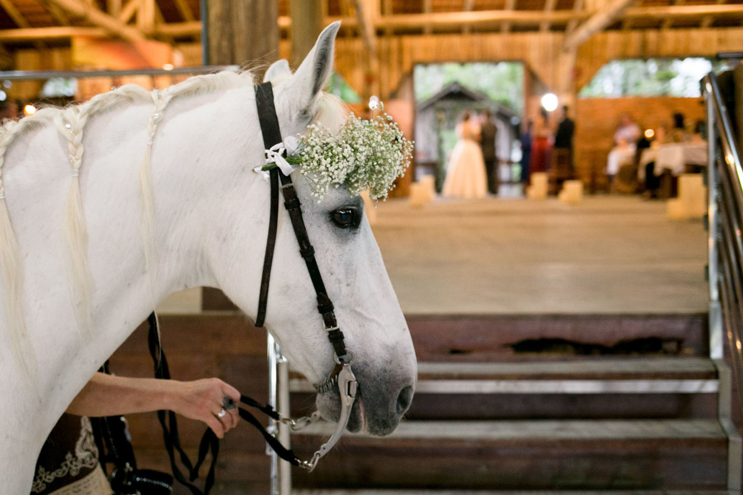 Foto Deisy e Felipe | Casamento  - Imagem 83