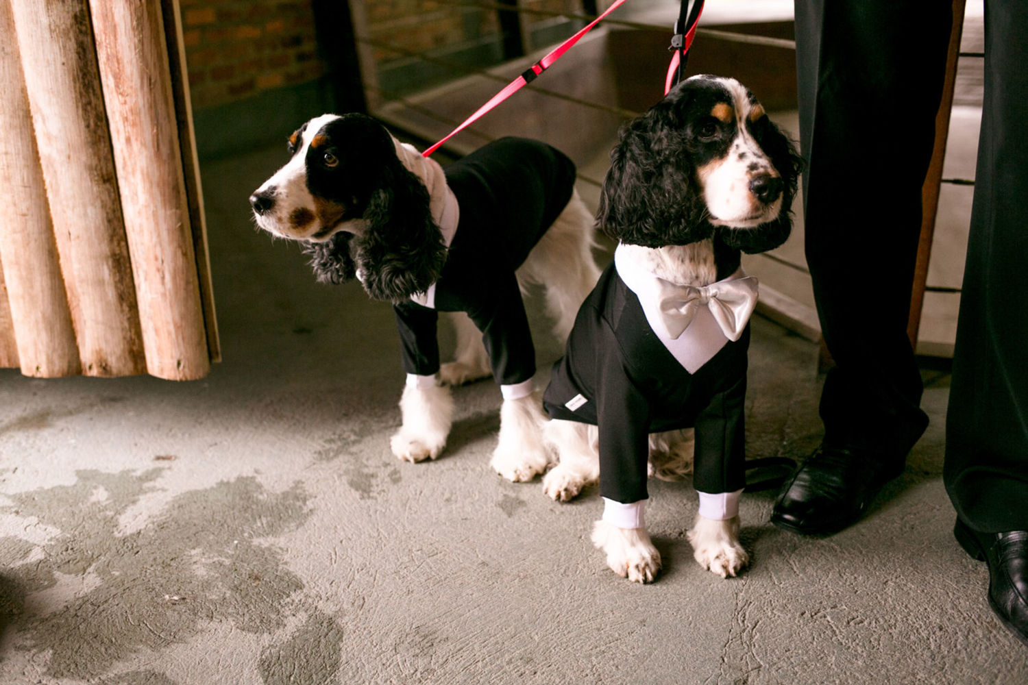 Foto Deyse e Felipe | Casamento  - Imagem 19