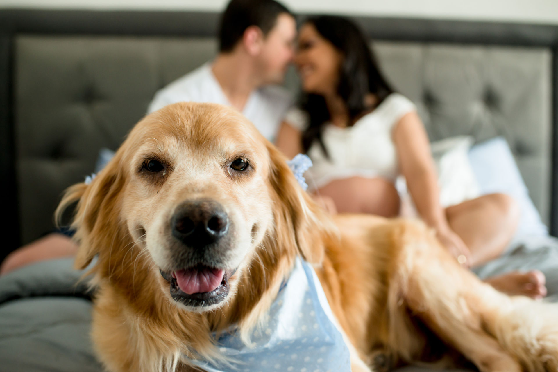 Foto Gestação do Isaac - Imagem 0