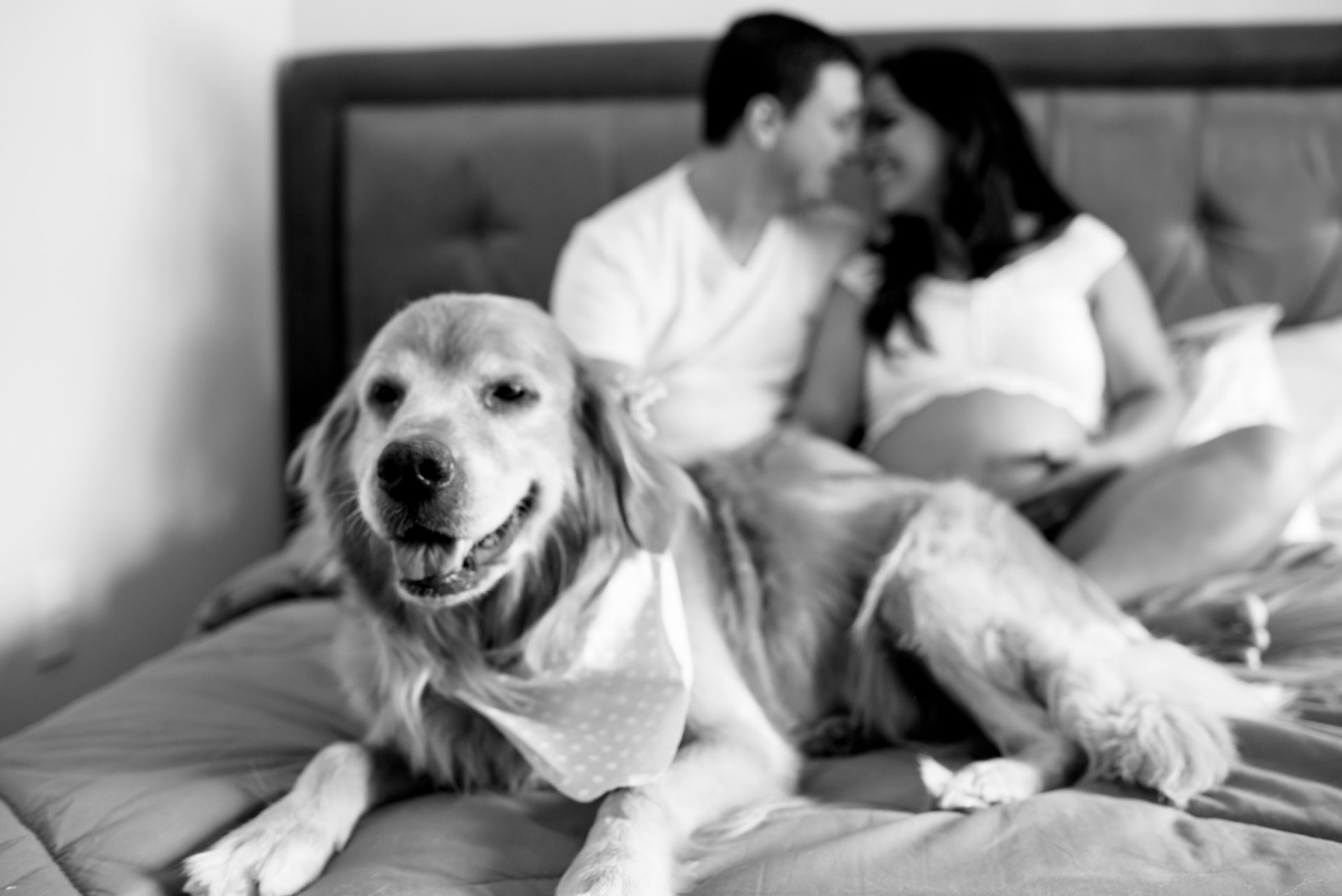 Foto Gestação do Isaac - Imagem 1