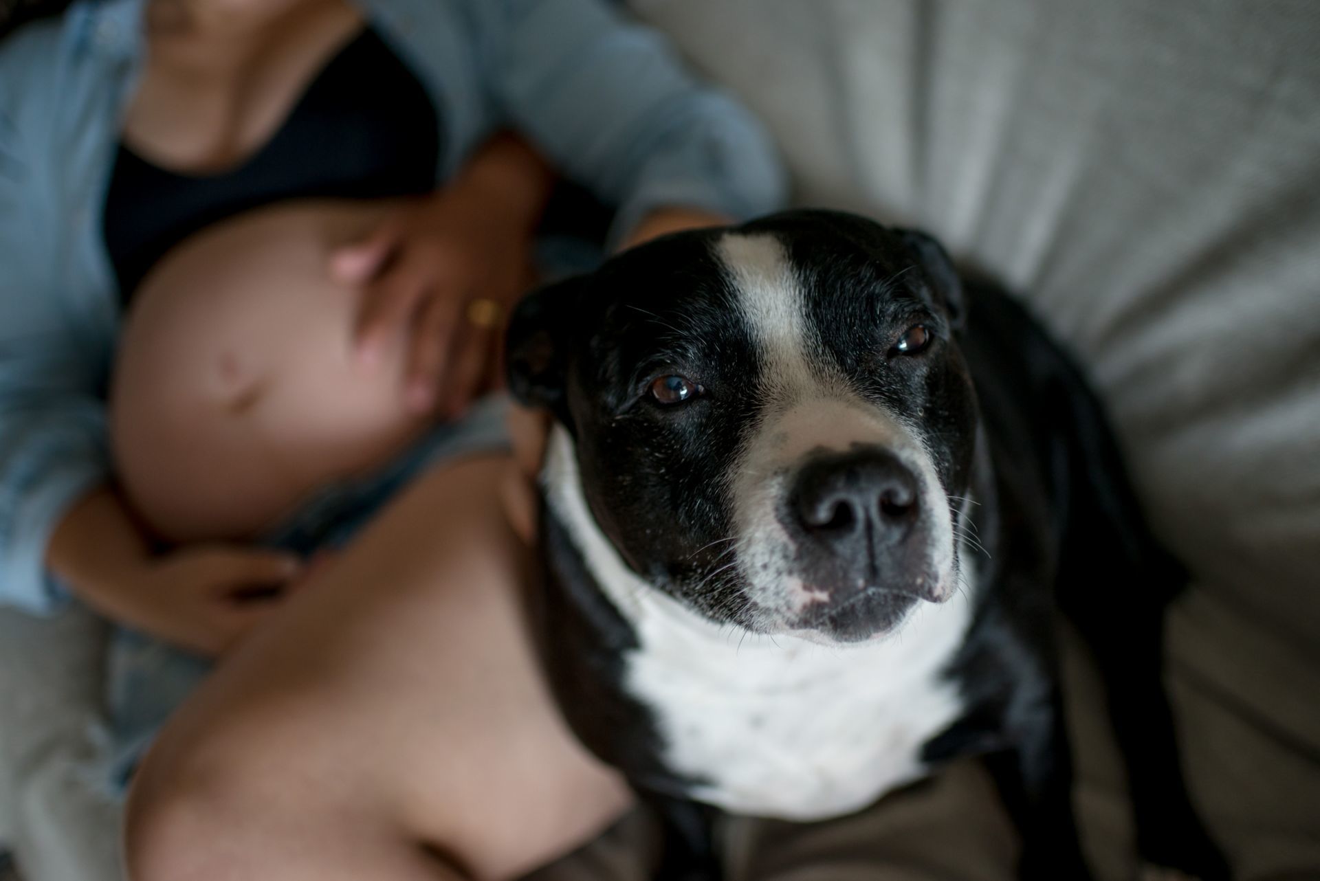 Foto Á espera da Sophie | Ensaio Gestante - Imagem 4