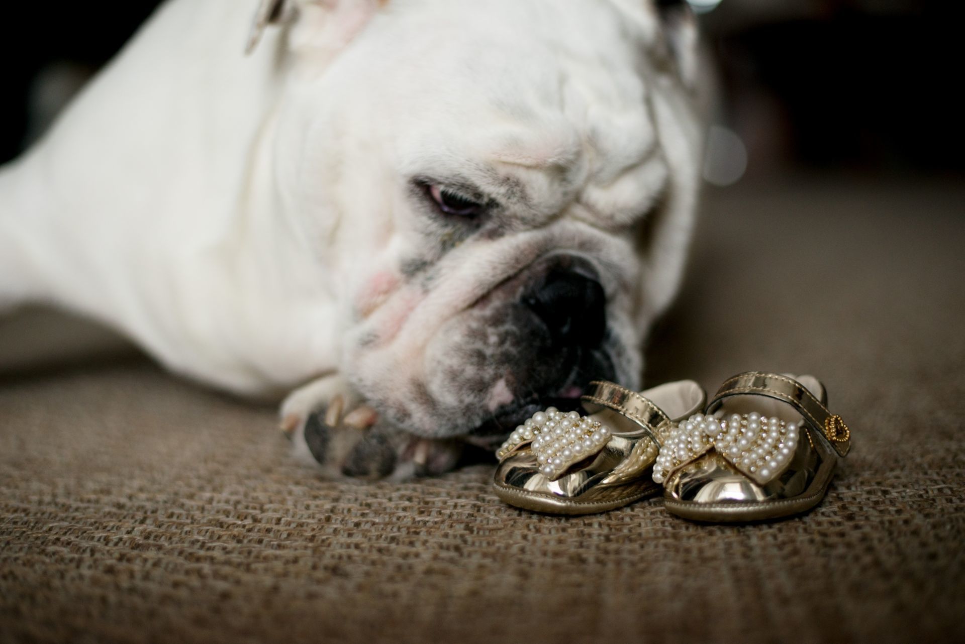 Foto Á espera da Sophie | Ensaio Gestante - Imagem 14