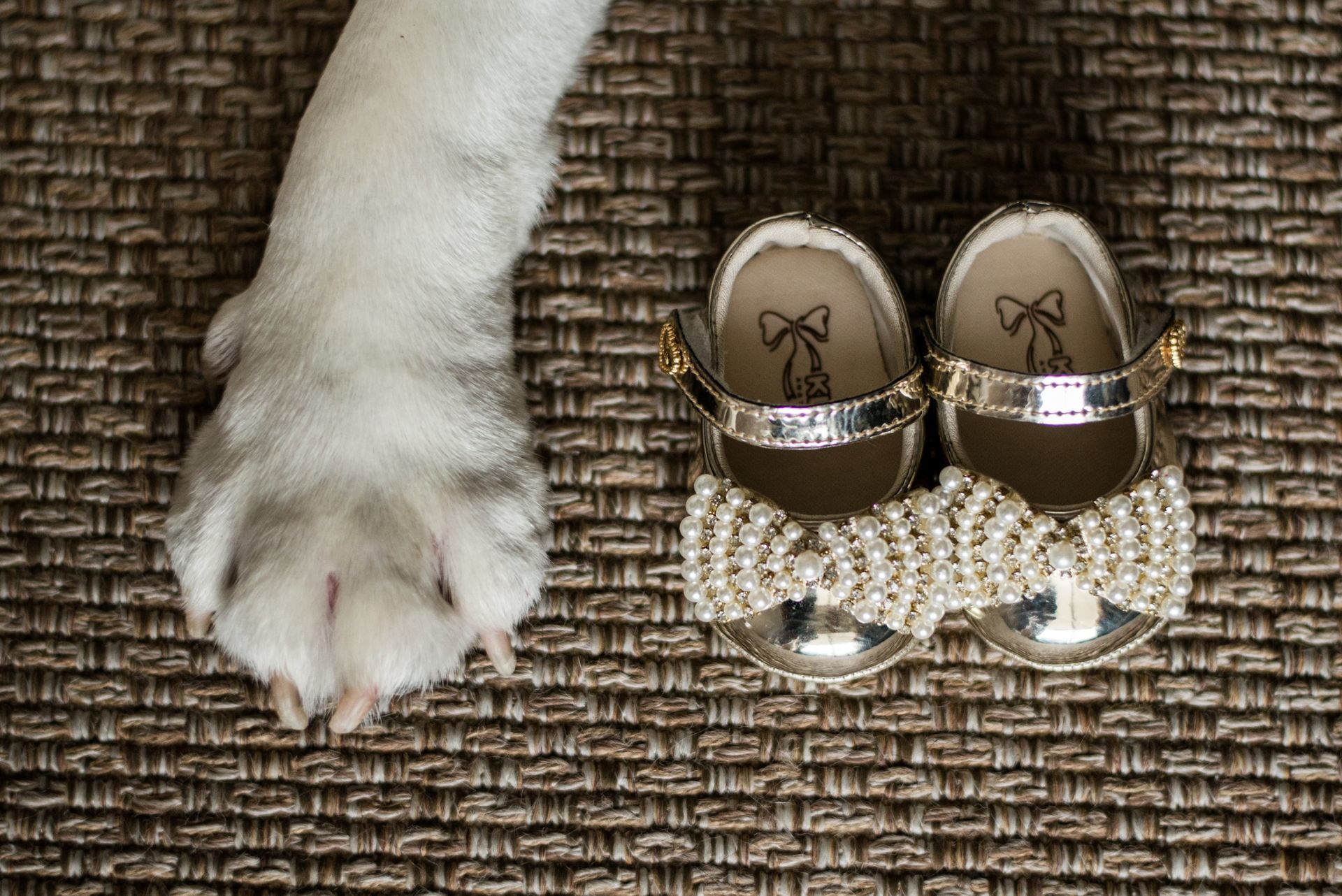 Foto Á espera da Sophie | Ensaio Gestante - Imagem 15