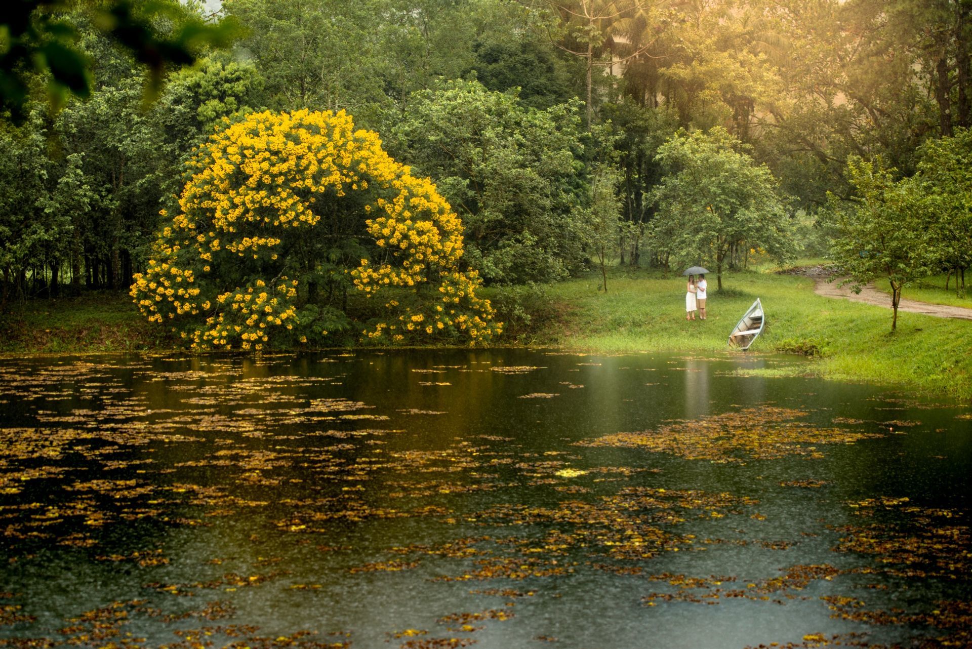 Foto Bruno e Fernanda | Pré Wedding - Imagem 11